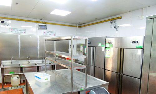 如何节省大型冰柜生肉的电能消耗（采用科学方法减少冷藏食品的能源使用）