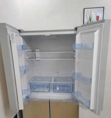新飞冰箱的故障及解决方法（探索新飞冰箱的常见问题）