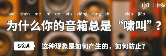 音箱突然啸叫怎么解决视频？视频中有哪些有效的解决方法？