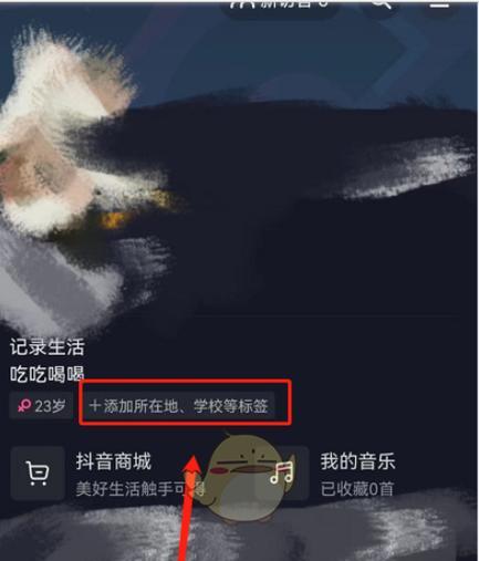 荣耀手机关闭lp地址的方法是什么？有什么好处？