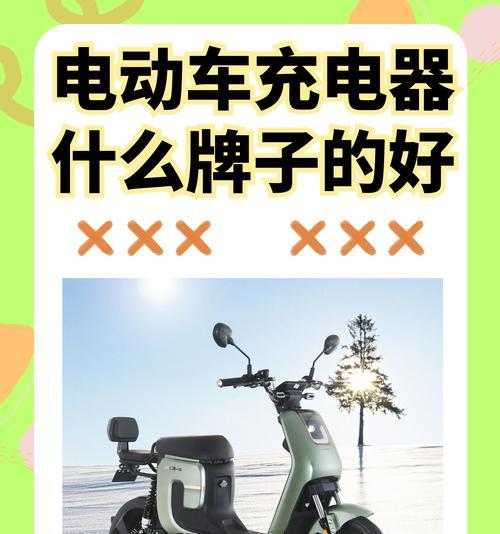 可爱鸟电瓶车充电方法是什么？充电时需要注意什么？
