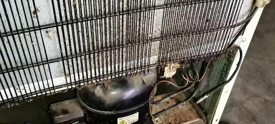 冰箱冰堵的原因及解决方法（了解冰箱冰堵的危害和常见原因，掌握解决方法）