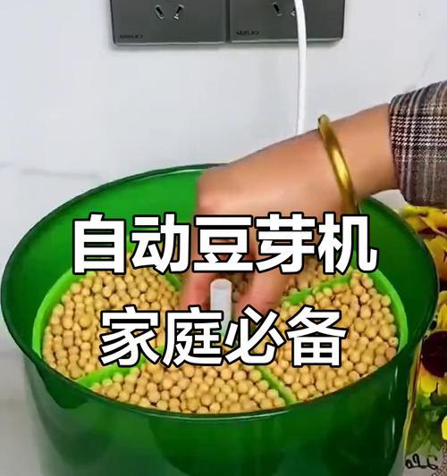 家用豆芽机的使用方法（轻松掌握）