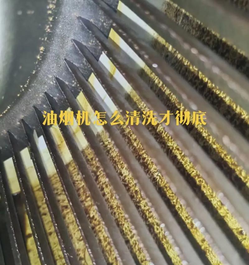 WOLF油烟机清洗指南（为您的厨房带来清新空气）