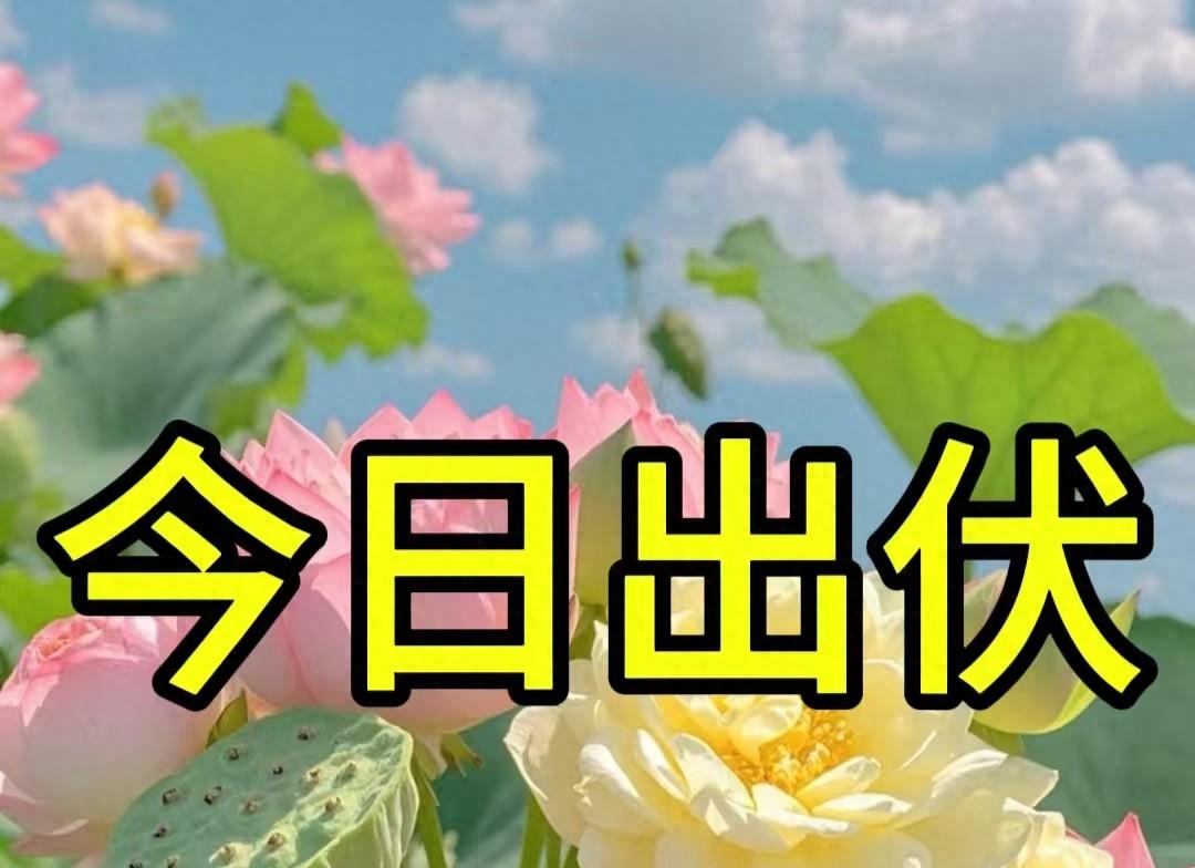 今日出伏，今年伏后有3个特点，2个要注意，提前了解早做准备