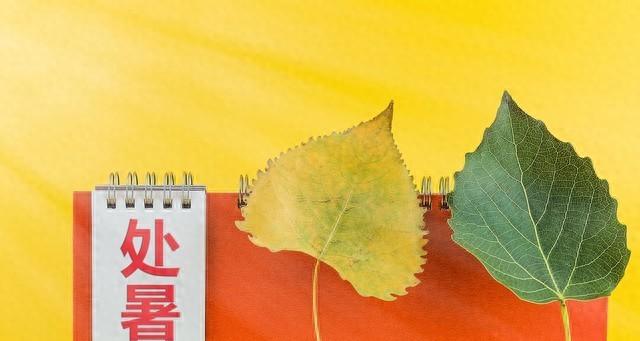 河北！大雨暴雨已在路上！具体分布在以下地区！未来三天天气变化