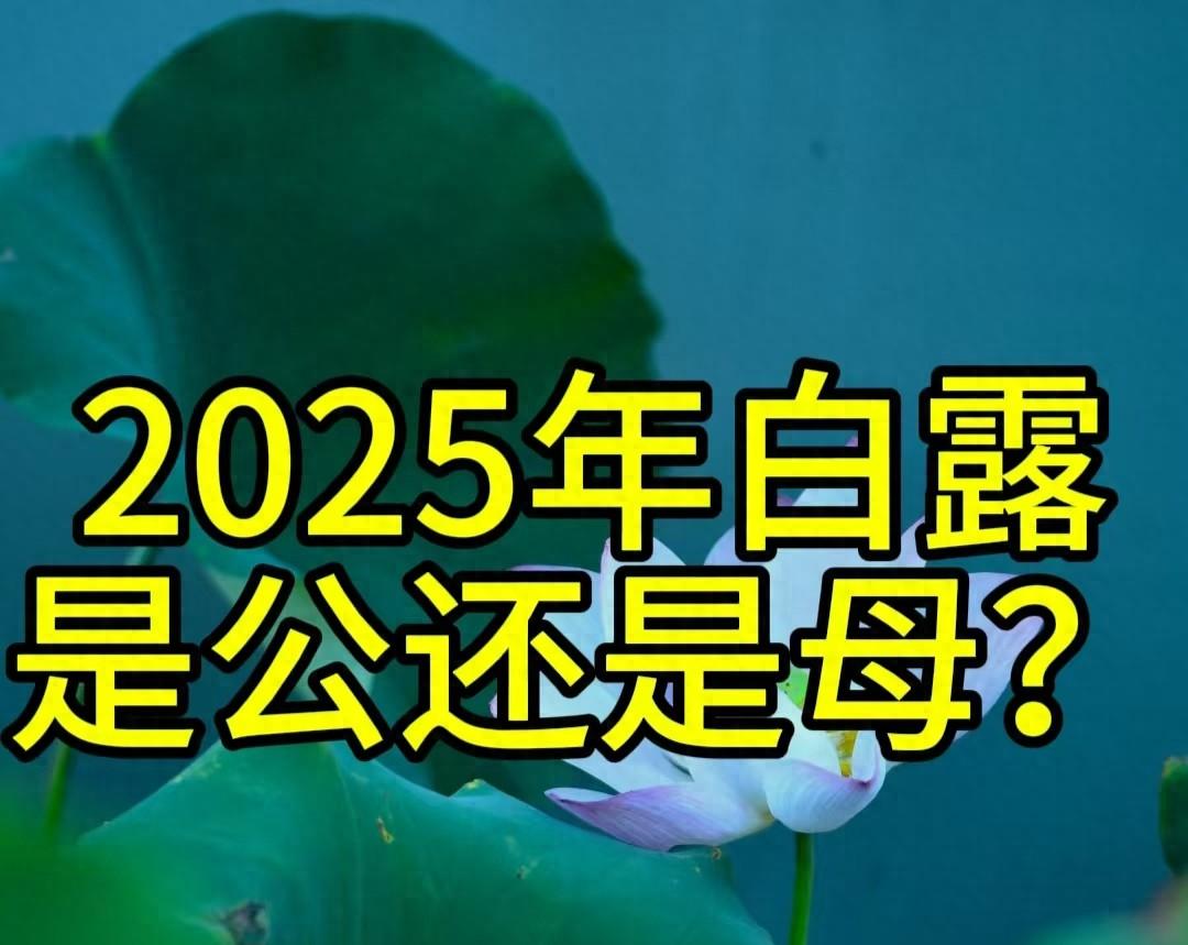 “公白露丢，母白露收”，2025年白露是公还是母？庄稼收成好不？