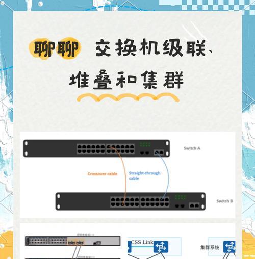 交换机接口如何划分？不同接口的作用是什么？