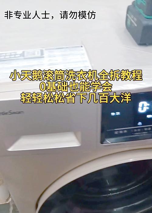 新洗衣机使用指南（轻松get新洗衣机的正确使用方法）