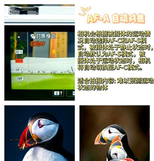 相机对焦功能如何实现？